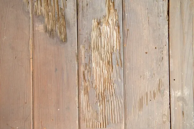 構造補強の必要性