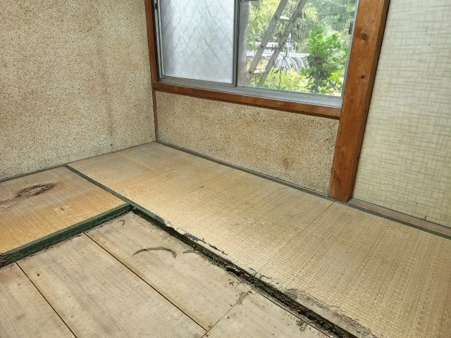 建物の構造へのダメージとシロアリ発生