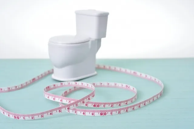 既存のトイレに関する情報も整理しておく