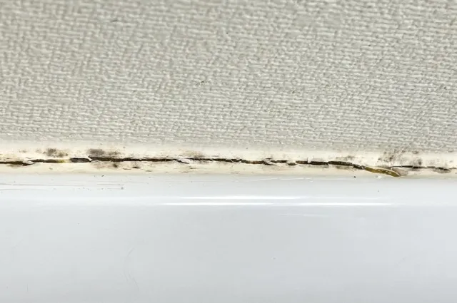 カビ・黒ずみ・異臭